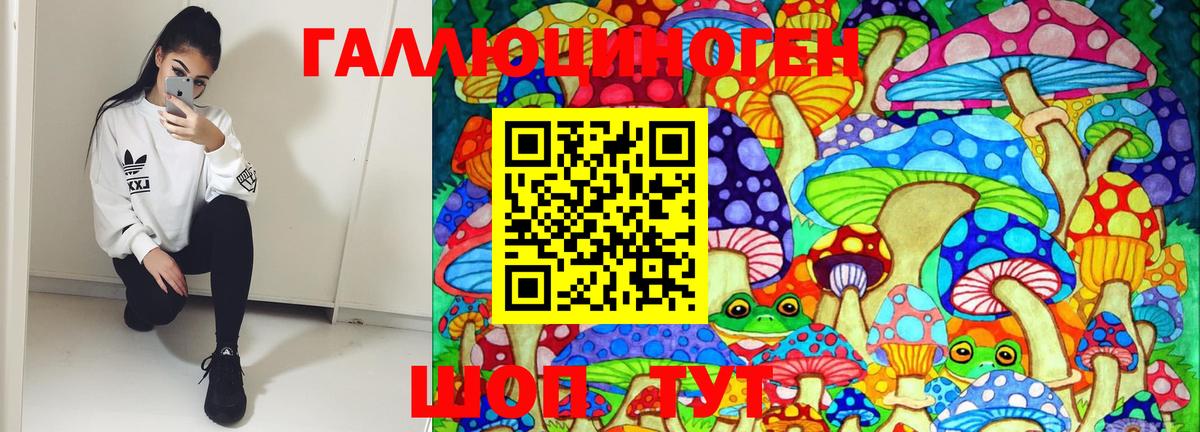 Галлюциногенные грибы GOLDEN TEACHER Партизанск
